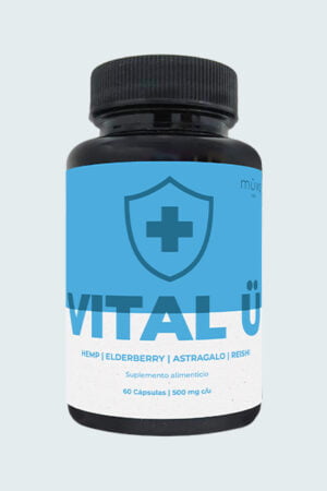 Vital U HEMP Elderberry, Astragalo, Reishi