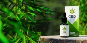 ¿Para qué sirve el aceite de CBD? 5 beneficios para tu salud